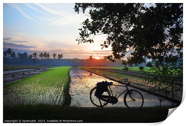 Sunset Java Indonesian bicycle rice paddy fields Asia Print by Spotmatik 