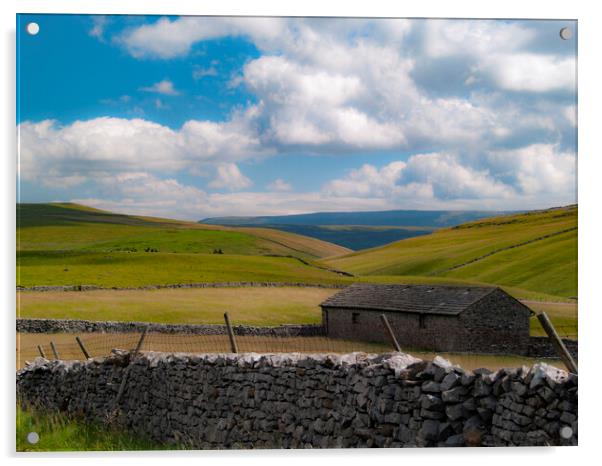 Yorkshire Dales Acrylic by Glen Allen