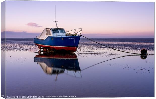 Low Tide Canvas Print by Ian Saunders