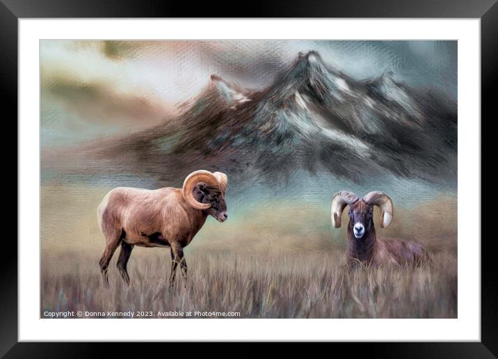Two Big Horn Sheep Framed Mounted Print by Donna Kennedy