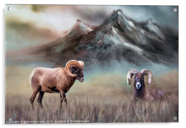 Two Big Horn Sheep Acrylic by Donna Kennedy