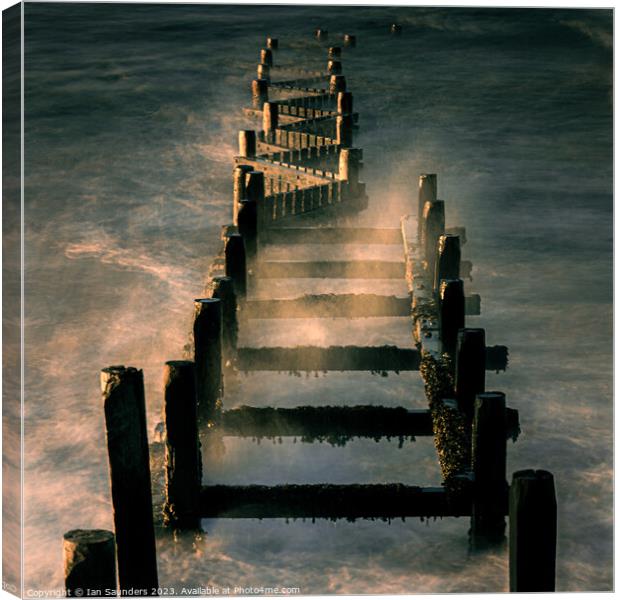 Sea Defences Canvas Print by Ian Saunders