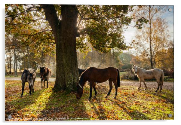 New Forest Acrylic by Slawek Staszczuk