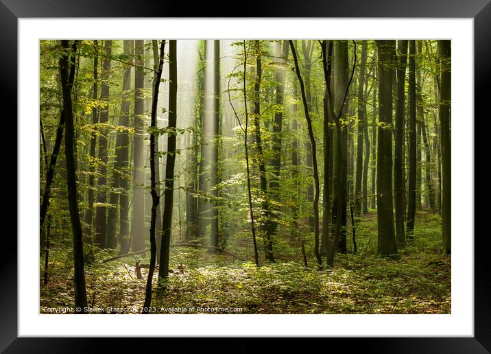 Misty Woods Framed Mounted Print by Slawek Staszczuk