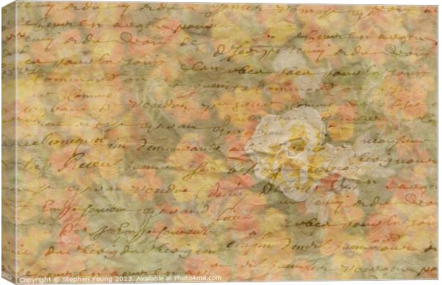 Vintage Love Letter Canvas Print by Stephen Young