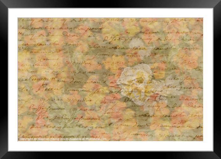 Vintage Love Letter Framed Mounted Print by Stephen Young
