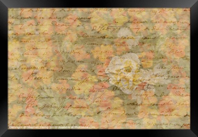 Vintage Love Letter Framed Print by Stephen Young