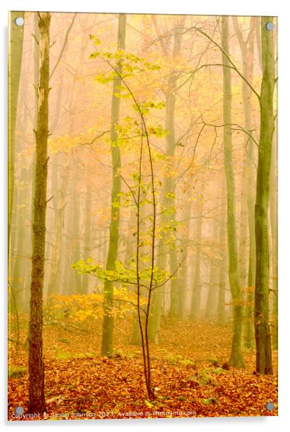 Misty woodland  Acrylic by Simon Johnson