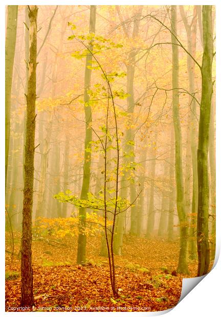 Misty woodland  Print by Simon Johnson