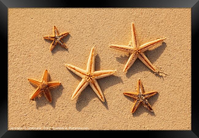 Starfish from tropical ocean on Caribbean island beach Framed Print by Spotmatik 