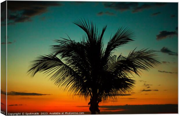 Palm tree at sunset tropical Island beach America Canvas Print by Spotmatik 