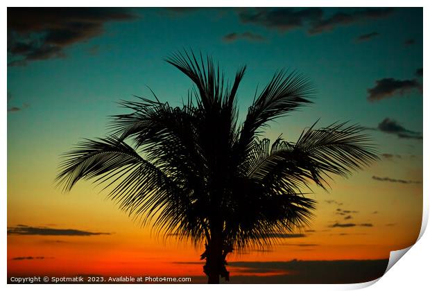 Palm tree at sunset tropical Island beach America Print by Spotmatik 