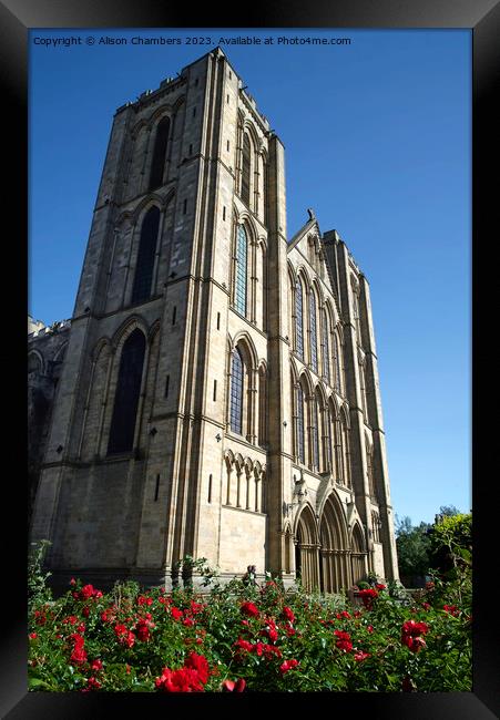 Ripon Cathedral  Framed Print by Alison Chambers