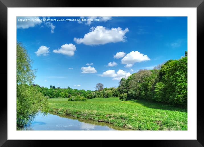Sprotbrough Flash Framed Mounted Print by Alison Chambers
