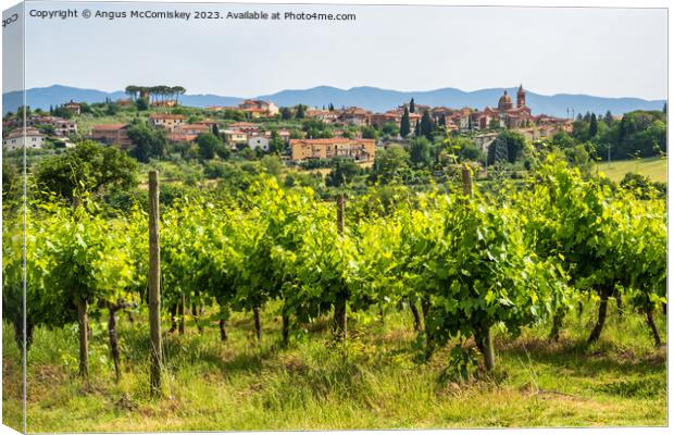 Vineyard near Pozzo della Chiana Tuscany Canvas Print by Angus McComiskey