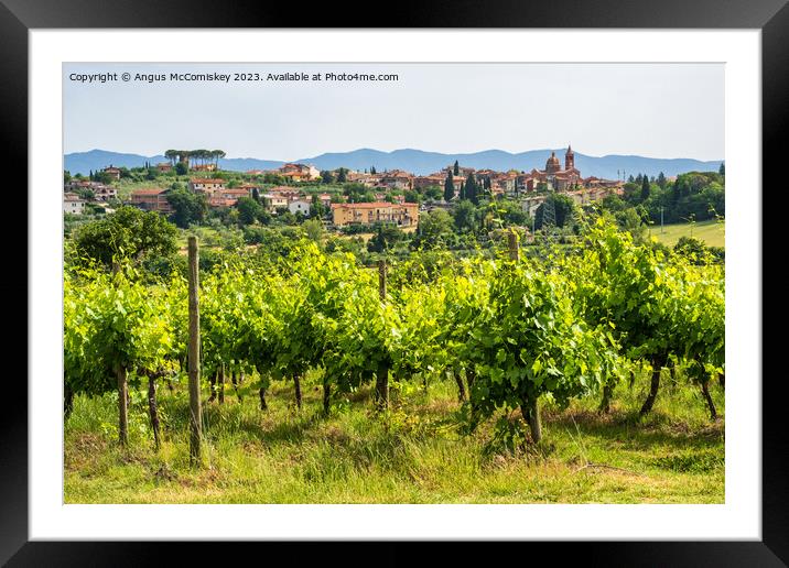 Vineyard near Pozzo della Chiana Tuscany Framed Mounted Print by Angus McComiskey