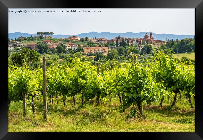 Vineyard near Pozzo della Chiana Tuscany Framed Print by Angus McComiskey