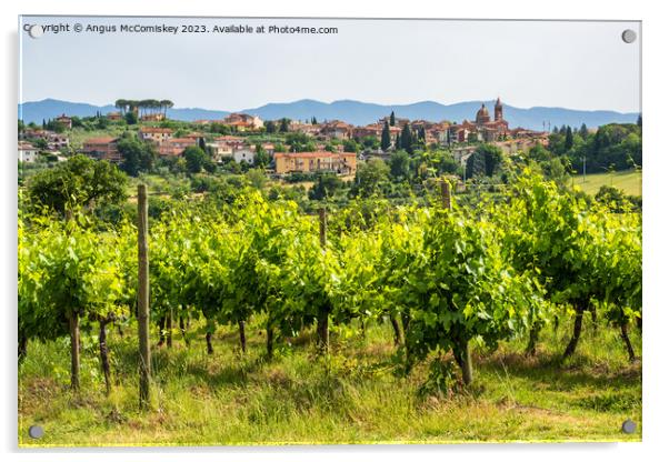 Vineyard near Pozzo della Chiana Tuscany Acrylic by Angus McComiskey