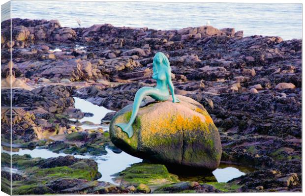 Mermaid of the North, Balintore, Scotland Canvas Print by Jacqi Elmslie