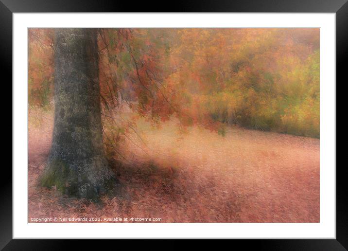 Autumn in the Adelaide Hills Framed Mounted Print by Neil Edwards
