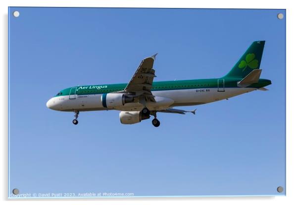 Aer Lingus A320-214   Acrylic by David Pyatt