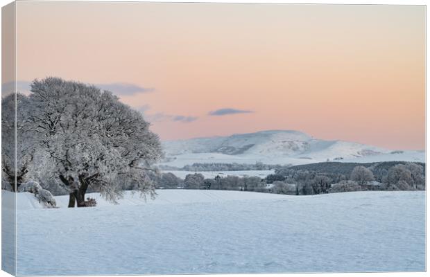 Sunset over snow covered fields and trees in the Scottish Borders, United Kingdom Canvas Print by Dave Collins