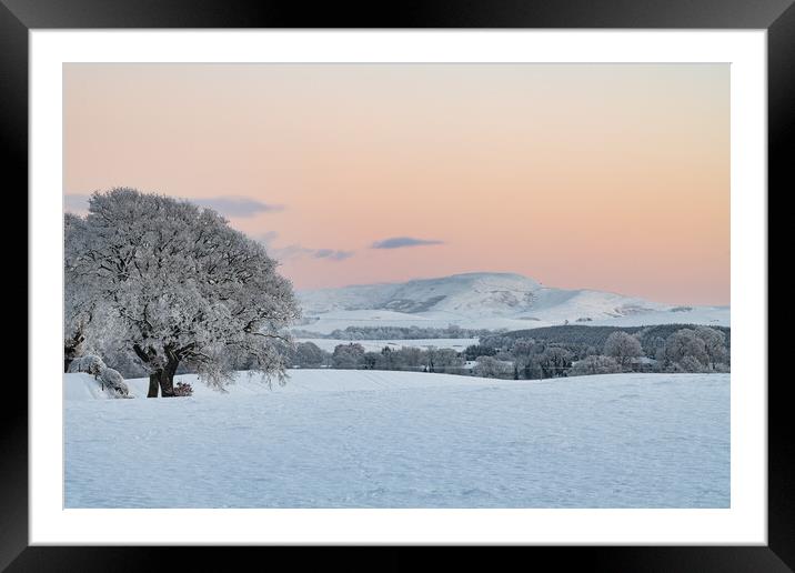 Sunset over snow covered fields and trees in the Scottish Borders, United Kingdom Framed Mounted Print by Dave Collins