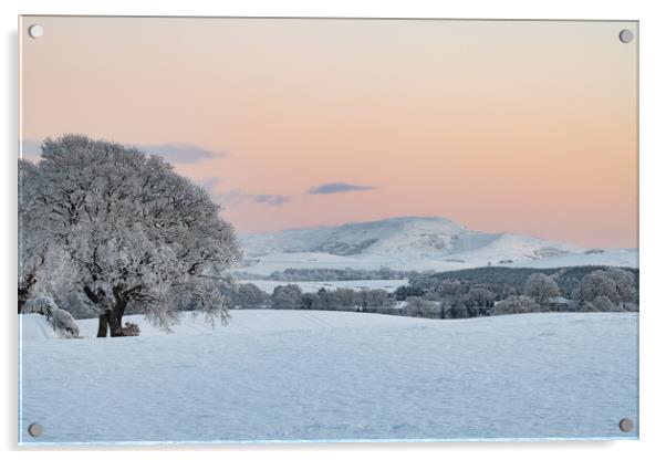 Sunset over snow covered fields and trees in the Scottish Borders, United Kingdom Acrylic by Dave Collins