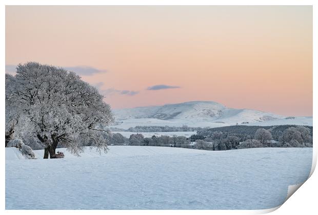Sunset over snow covered fields and trees in the Scottish Borders, United Kingdom Print by Dave Collins