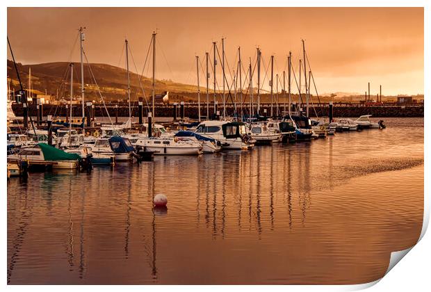 Largs Marina Print by Valerie Paterson