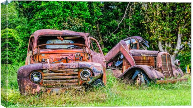 Two Old Rusty Trucks Canvas Print by Darryl Brooks