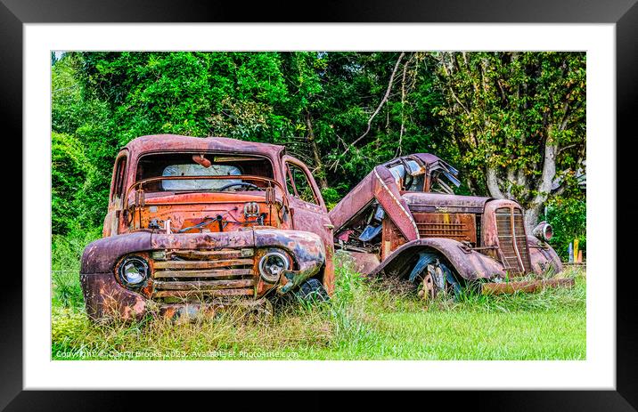Two Old Rusty Trucks Framed Mounted Print by Darryl Brooks