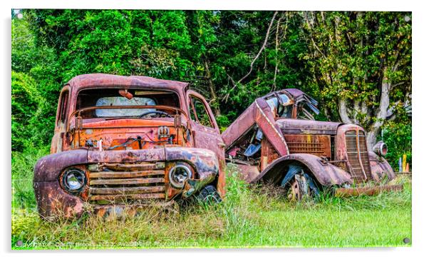Two Old Rusty Trucks Acrylic by Darryl Brooks