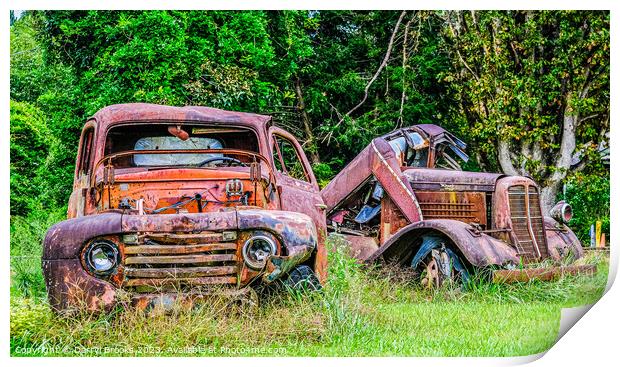 Two Old Rusty Trucks Print by Darryl Brooks