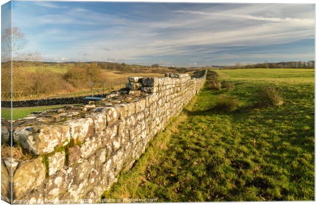 Winter sun on Hadrian's Wall  Canvas Print by Heather Athey
