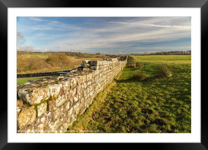 Winter sun on Hadrian's Wall  Framed Mounted Print by Heather Athey
