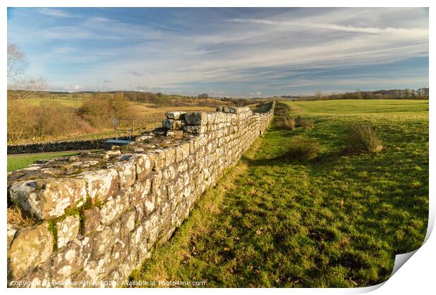 Winter sun on Hadrian's Wall  Print by Heather Athey