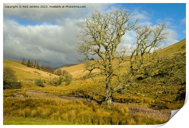 Nant Crew Valley Brecon Beacons January Print by Nick Jenkins