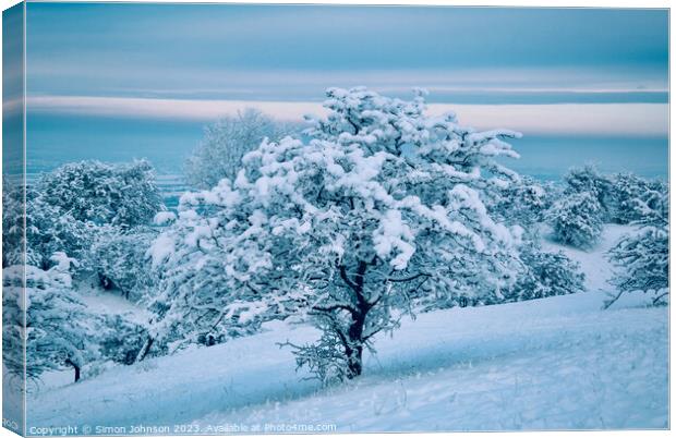 A snow covered landscape Canvas Print by Simon Johnson