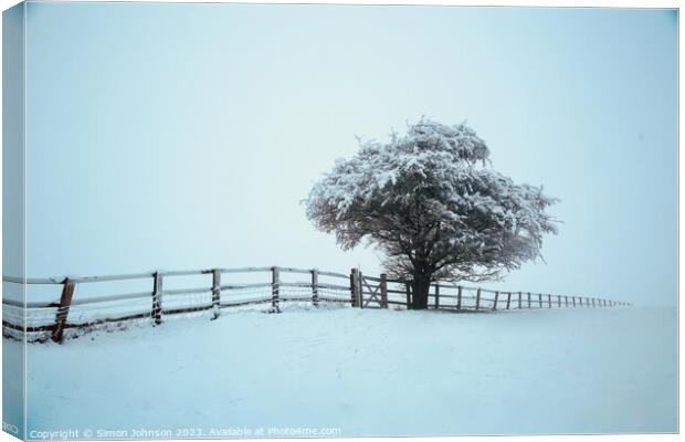 Frosted tree with fence in  snow Canvas Print by Simon Johnson
