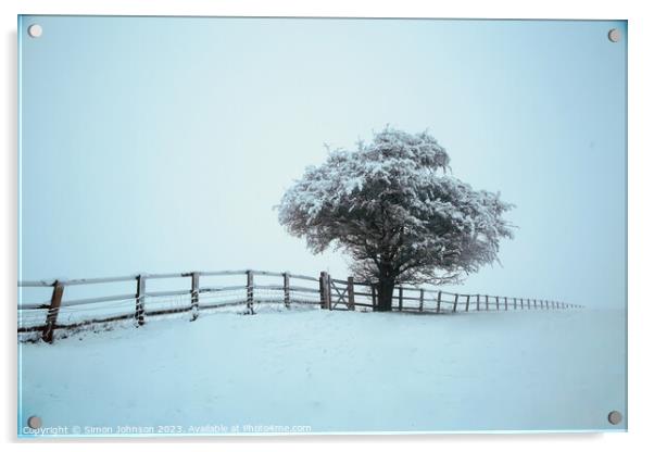 Frosted tree with fence in  snow Acrylic by Simon Johnson