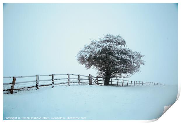 Frosted tree with fence in  snow Print by Simon Johnson