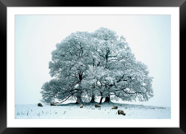 Cotswold winter Framed Mounted Print by Simon Johnson