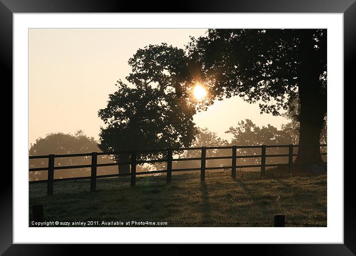 Morning Sun Framed Mounted Print by suzy ainley
