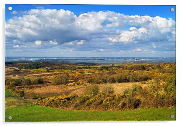 View across Studland and Godlington Heath        Acrylic by Darren Galpin