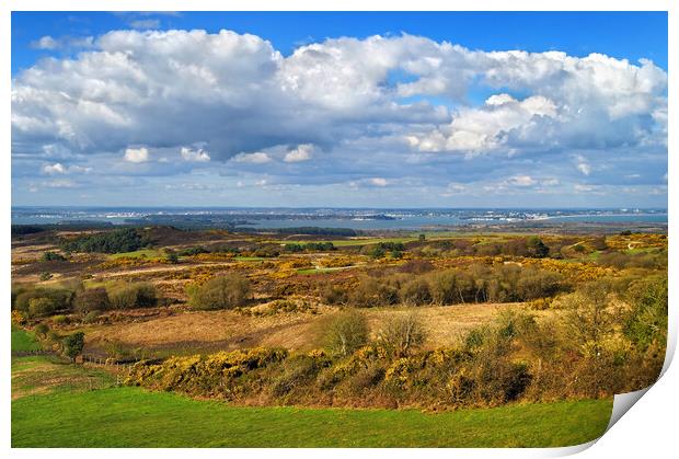 View across Studland and Godlington Heath        Print by Darren Galpin