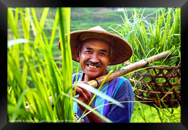 Portrait Bali man collecting rice plants bamboo baskets  Framed Print by Spotmatik 