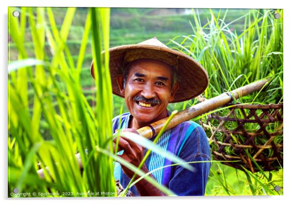 Portrait Bali man collecting rice plants bamboo baskets  Acrylic by Spotmatik 