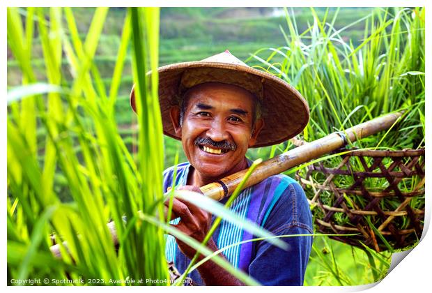 Portrait Bali man collecting rice plants bamboo baskets  Print by Spotmatik 