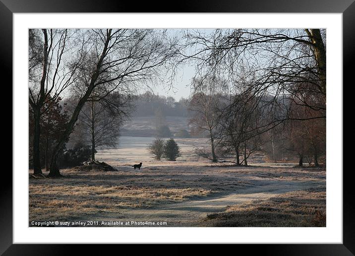 Morning frost Framed Mounted Print by suzy ainley